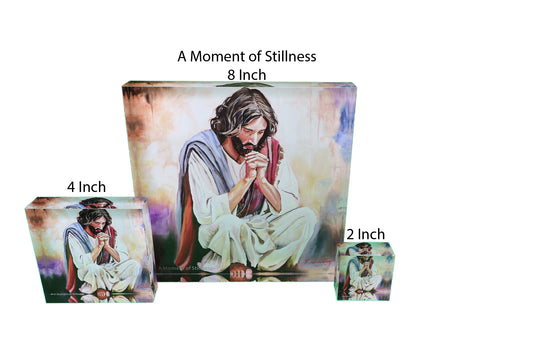 A Moment of Stillness, Acrylic Blocks